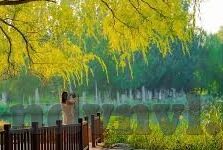 91人妻porn-91人妻porn的误解与现实
