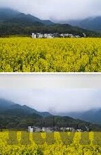 国产麻豆剧果冻传媒免费观看-超越想象，细品国产麻豆剧果冻传媒中的潮流与魅力的真实体验