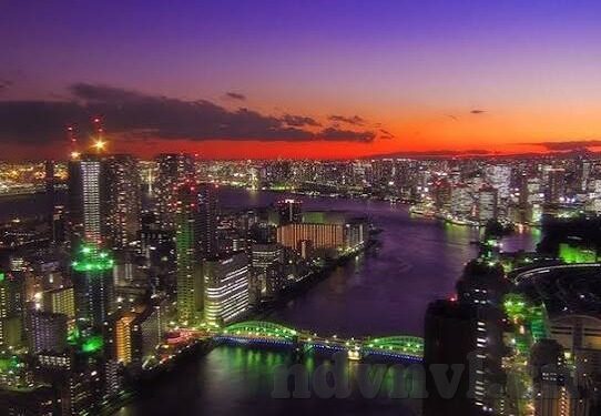 糖心直播app官网下载-网络直播新风尚，探索糖心直播APP的无限魅力
